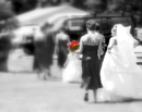 rhanda_ray_wedding121_1